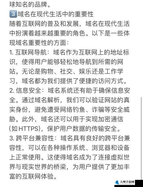 yp请牢记此域名防止失联：域名的重要性与保障