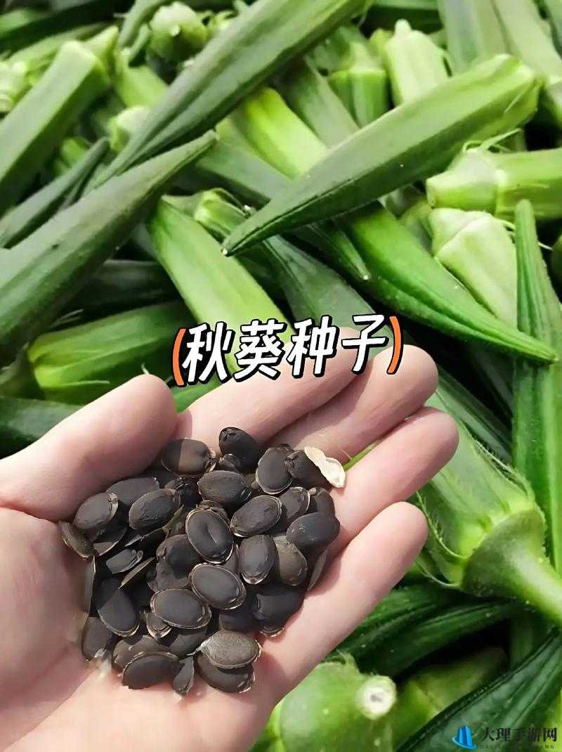 水果派对：草莓、茄子、秋葵、香蕉、丝瓜、榴莲的奇妙组合